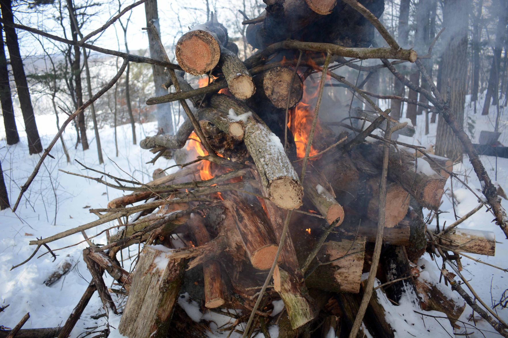 Devil's Lake east bluff stewardship work